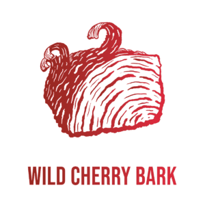 Andi Lynn's Graphic of Wild Cherry Bark Natural Cough Remedy