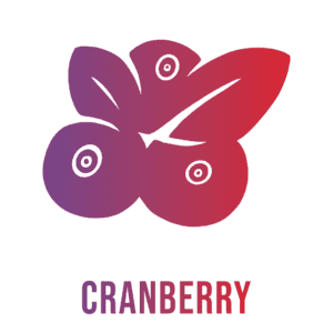 Andi Lynn's Graphic of Cranberry for Lung Support