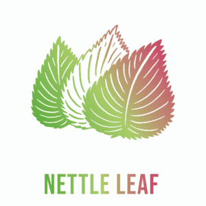 Andi Lynn's Graphic of Nettle Leaf Natural Cough Remedy