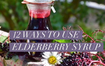 12 Ways to Use Elderberry Syrup