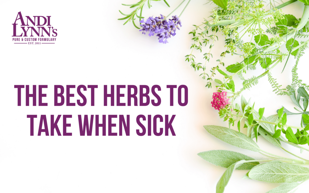 The Best Herbs to Take When Sick