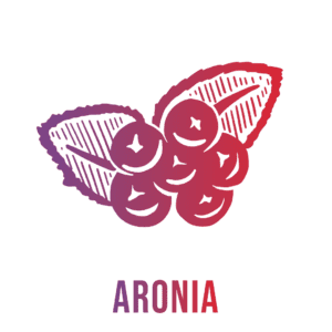 Andi Lynn's Graphic of Aronia Berry for Lung Support